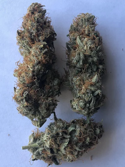 Sour Stomper - Image 12